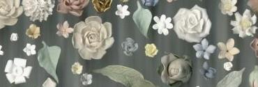 Flowerscan