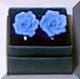Blue Earrings.jpg