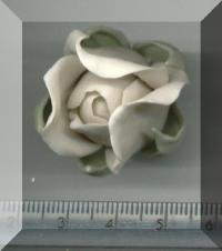 Click to return to Large White Rosebud