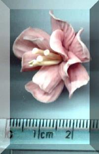Click to return to Pink Flower Yellow Stamens 2.Pg 4