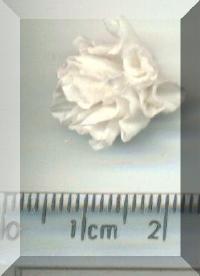 Return to Small White Carnation. Pg 1