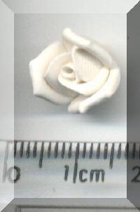 Return to Small White Rosebud. Pg 5