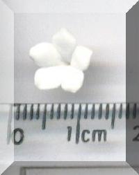 Return to Tiny White Flower. Pg 6