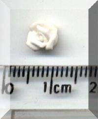 Return to Tiny White Flower 2. Pg 6