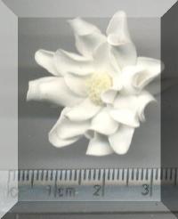 Return to White Daisy Large. Pg 7