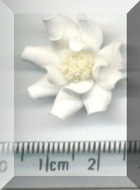 Return to White Daisy Medium. Pg 7