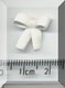 Bone China Bow.jpg