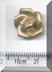Gold Flower 2.jpg