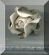 Large White Rosebud.jpg