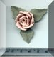 Pink Rose and Leaves.jpg