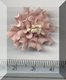 Pink Zinnia Inverted.jpg