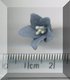 Tiny Blue Flower Yellow Stamens.jpg