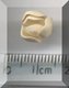 Tiny Peach Bud.jpg