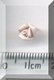 Tiny Pink Bud.jpg