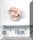 Tiny Pink Rosebud.jpg
