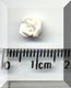 Tiny White Flower 2.jpg
