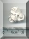 Triple White Rosebuds 2.jpg