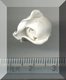 White Rose Bud Plain.jpg